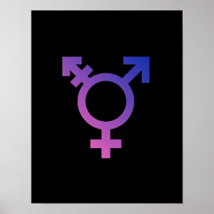 Pôster Símbolo do Transgender