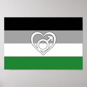Poster Símbolo e Sinalizador de Androfilia Pride