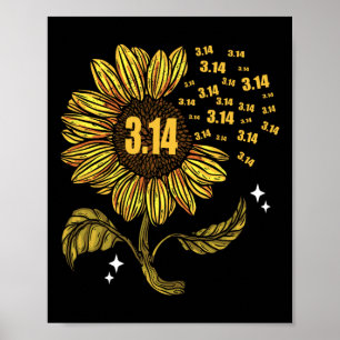 Poster Símbolo Número Pi Dia 3.14 Para Professores De Mat
