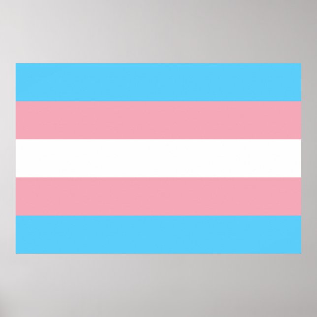 Poster Símbolo transgênero trans prido LGBT gay homos (Frente)