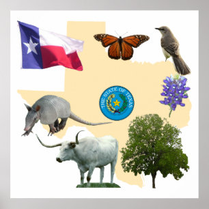 Poster Símbolos do Estado do Texas
