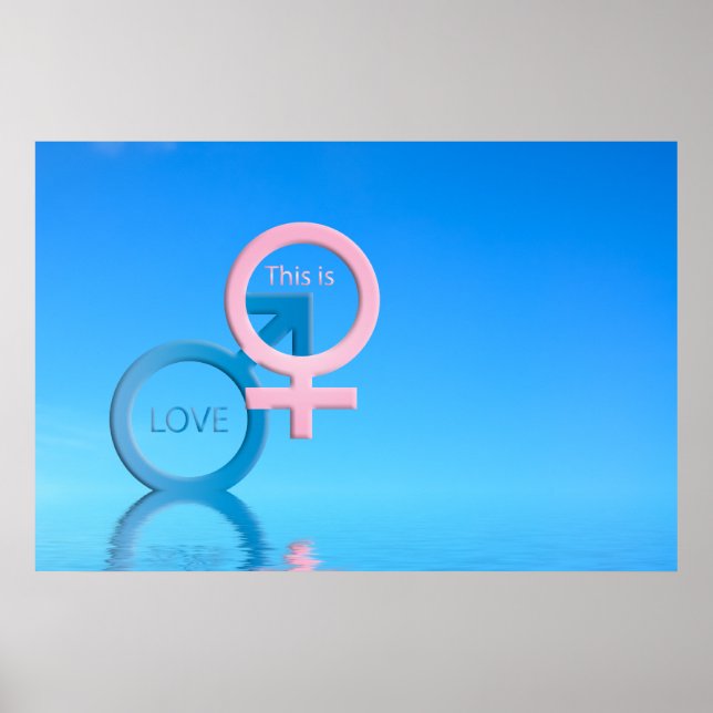 Pôster Símbolos masculinos e femininos (Frente)