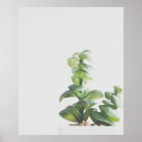 Simple Green Plant Minimalist Photo