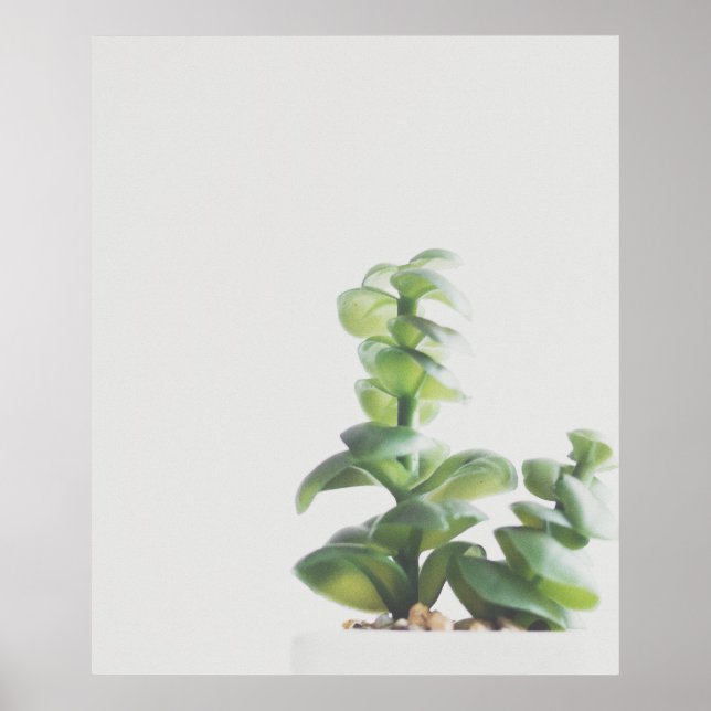 Poster Simple Green Plant Minimalist Photo (Frente)