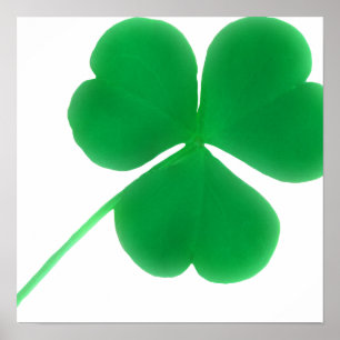 Pôster Simples Shamrock Verde Irlandês Rua. Dia de Patr