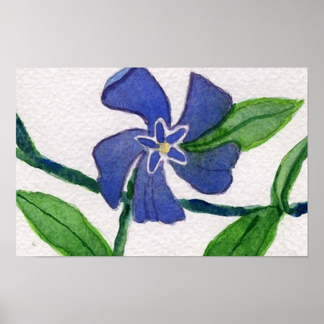 Poster Simplesmente Vinca 2 (Frente)