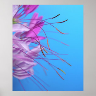 Poster Simplicidade de Pastel