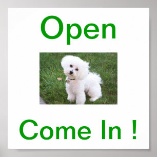 Poster Sinal aberto do cão de Bichon Frise