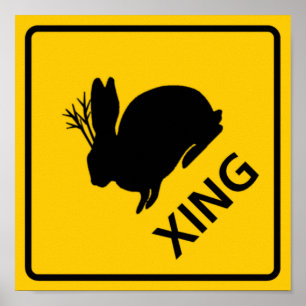 Pôster Sinal da estrada do cruzamento de Jackalope
