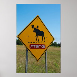 Pôster Sinal de aviso dos alces