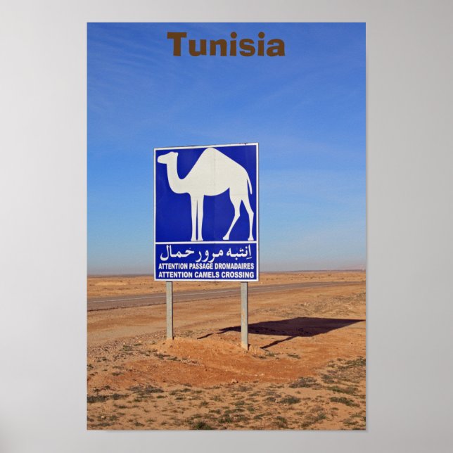 Poster Sinal de Camelos, Tunísia (Frente)