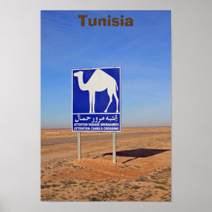 Poster Sinal de Camels, Tunísia