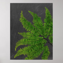 Poster Sinal de Fern com Chalkboard Background no 5