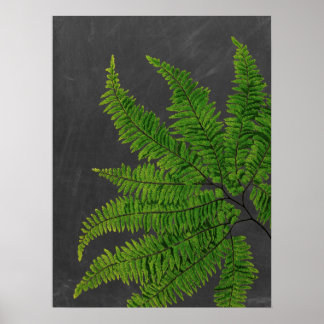 Poster Sinal de Fern com Chalkboard Background no 5