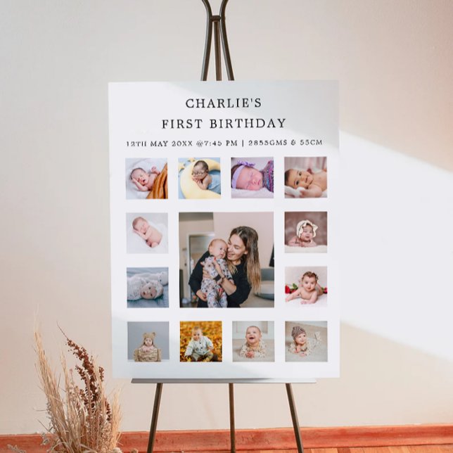 Poster Sinal de Fotografia Mensal do primeiro aniversario (1St Birthday Monthly Photo Sign)