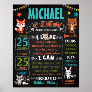 Poster Sinal de primeira Festa de aniversário dos animais