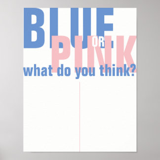 POSTER SINAL DE REVELAÇÃO DO GÊNERO