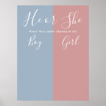 Sinal de Votação de Revelação de Gênero Azul e Ros