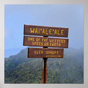 Poster Sinal de Waialeale da montagem, Kauai, Havaí