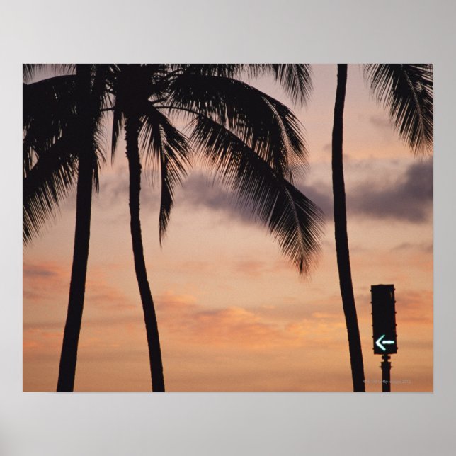 Poster Sinal e Árvore Palm (Frente)
