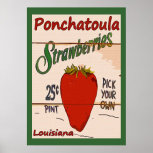 Poster Sinal Ponchatoula Strawberry