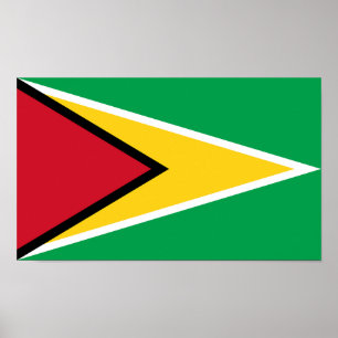 Poster Sinalizador da Guiana