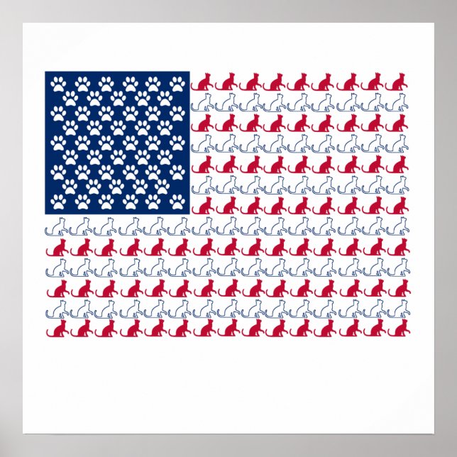 Pôster Sinalizador de Cat (Frente)