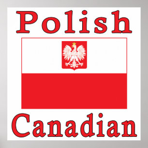 Poster Sinalizador de Falcão Canadense Polonês