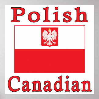 Poster Sinalizador de Falcão Canadense Polonês