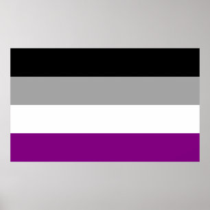 Poster Sinalizador de Orgulho Asexual