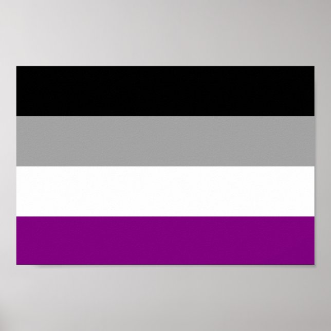 Poster Sinalizador de Orgulho Asexual (Frente)