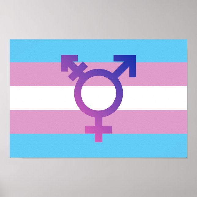 Poster Sinalizador de Prioridade Trans (Frente)