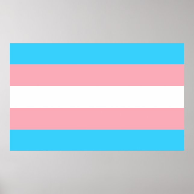 Poster Sinalizador de Transgênero Rosa, Azul e Branco (Frente)