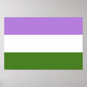 Pôster Sinalizador do Orgulho do Genderqueer