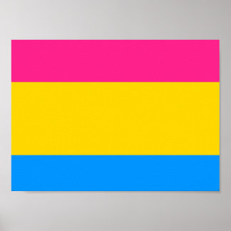 Pôster Sinalizador do Orgulho Pansexual