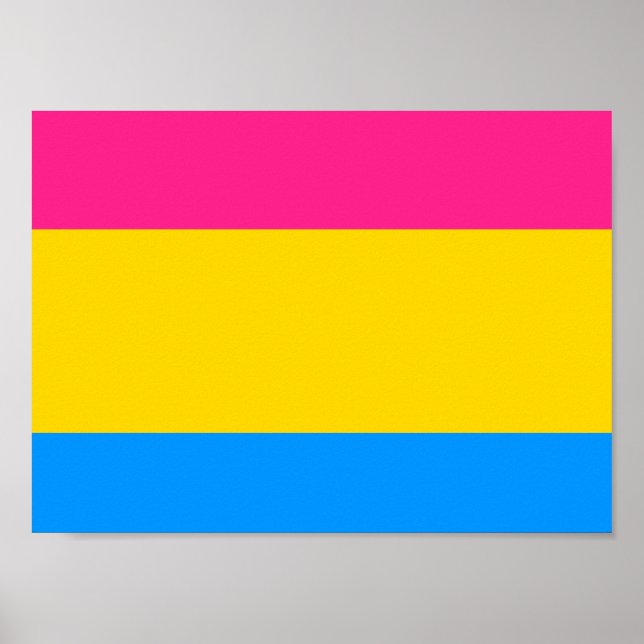 Pôster Sinalizador do Orgulho Pansexual (Frente)