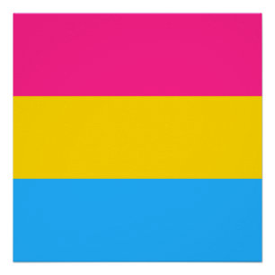 Pôster Sinalizador do Orgulho Pansexual LGBTQ