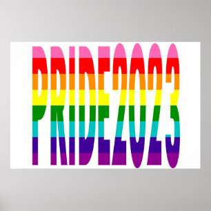 Poster Sinalizador LGBT Arco-Íris Original 8 Stripes Prid