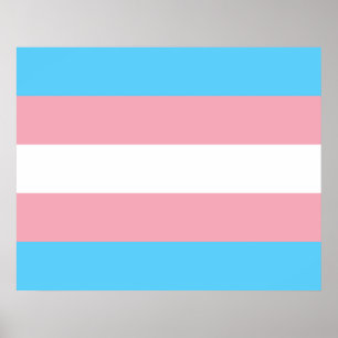 Poster Sinalizador Trans Pride (Orgulho Transgênero)