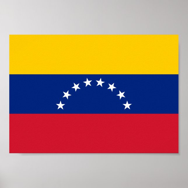 Poster Sinalizador Venezuela (Frente)