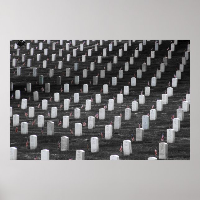 Poster Sinalizadores de cores B&W Arlington (Frente)