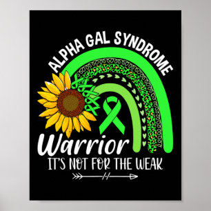 Poster Sindroma Alfa Gal Sensibilização