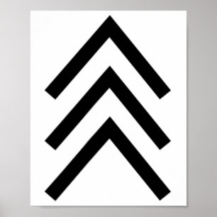 Poster Síndrome de Down Trissomia 21 Três Setas Cromossom
