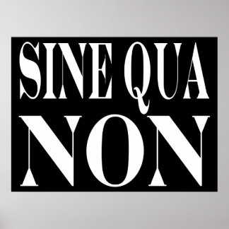 Pôster Sine Qua Non-Famous Latin Cote: Palavras para vive