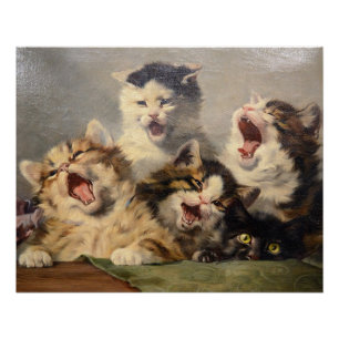 Pôster Sinfonia de Gatinhos por Julius Adam II