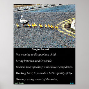 Poster Single Parent