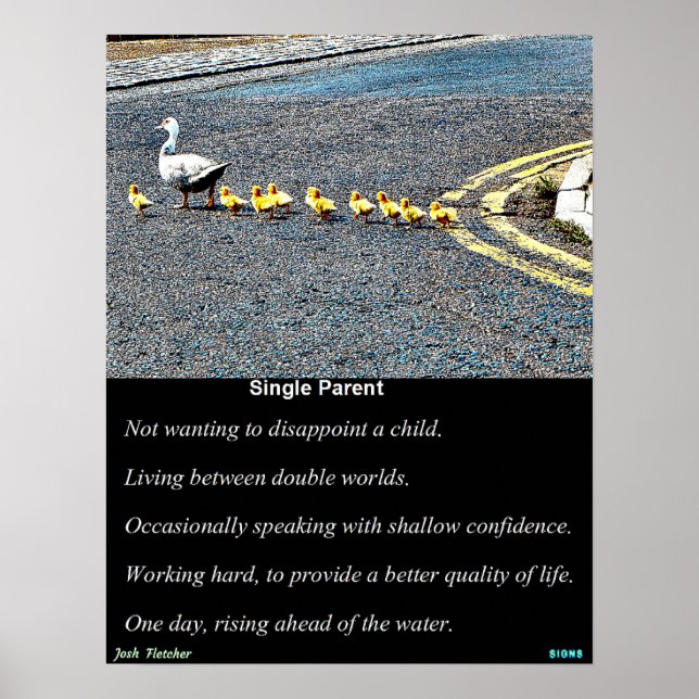 Poster Single Parent (Frente)
