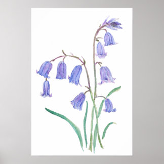 Poster sinos azuis flores aquarela flores