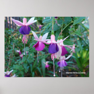 Pôster Sinos De Três Cores