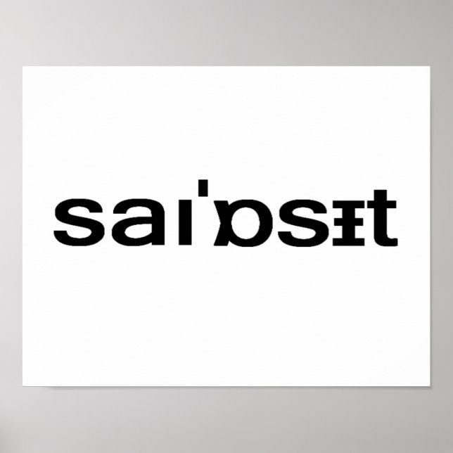 Poster Sinosset - Ortografia Fonética Long Island Nassau (Frente)